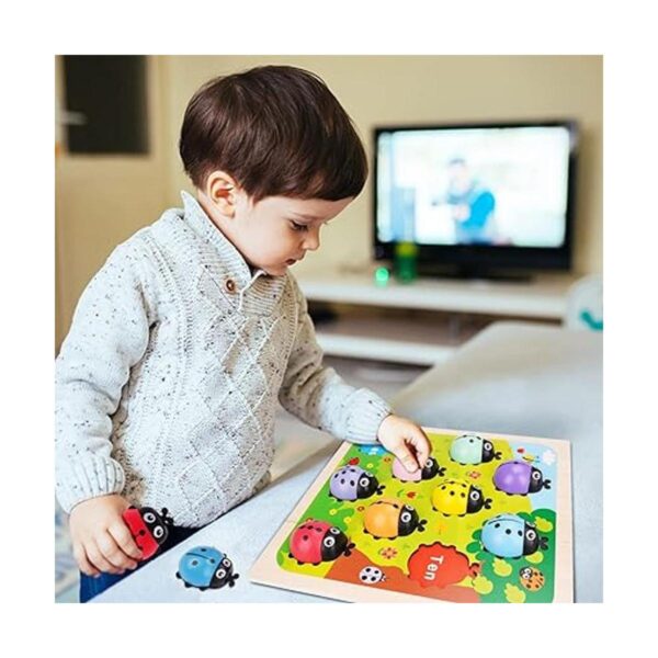 Ladybugs Montessori Juguetes de conteo de madera para_5
