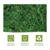 Riare Musgo falso artificial de 21 onzas para plantas_4