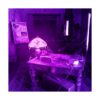 Bombillas LED moradas bombilla LED negra A19 de 9 W_3