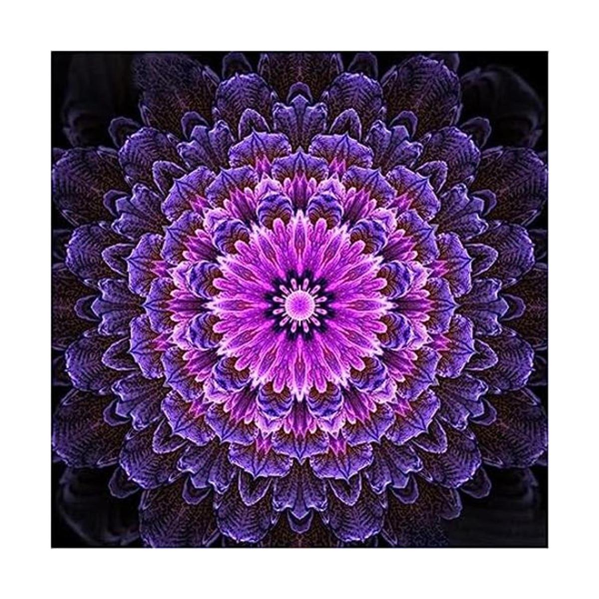 Peeua Kits de arte de diamantes de mandala para adultos