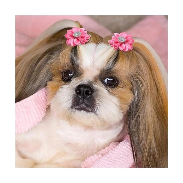 40 lazos para el pelo de perros con flores con pasador