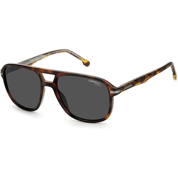 Carrera CARRERA 279S HavanaGrey 5617145 Gafas de sol_2