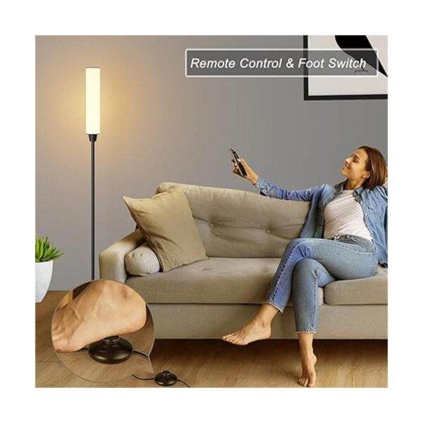 Floor Lamps for Living RoomModer Floor Lamp with Remote_3