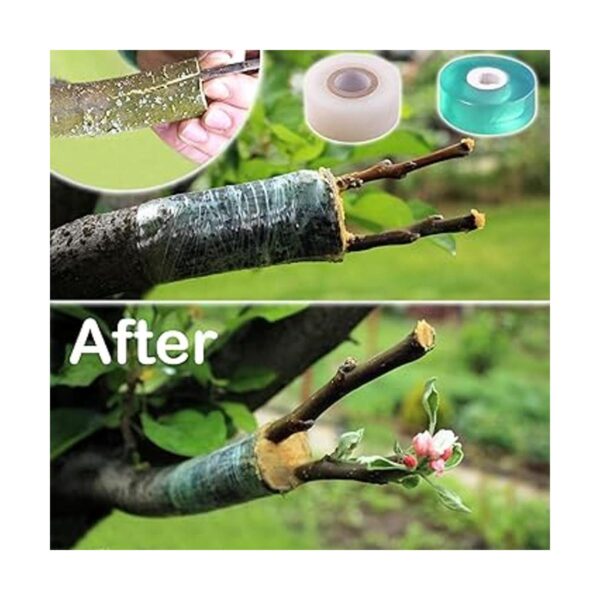 Kit de herramientas de injerto de jardín para árboles_5