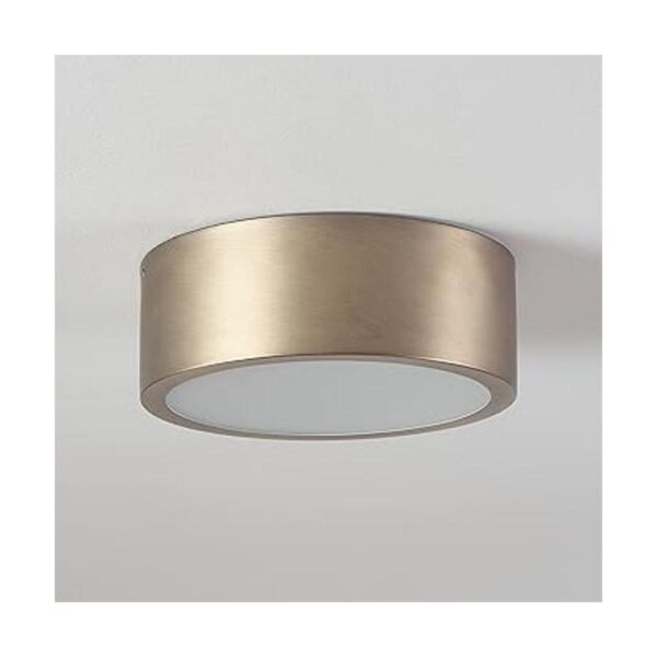 Globe Electric 60979 Lámpara de techo LED integrada de