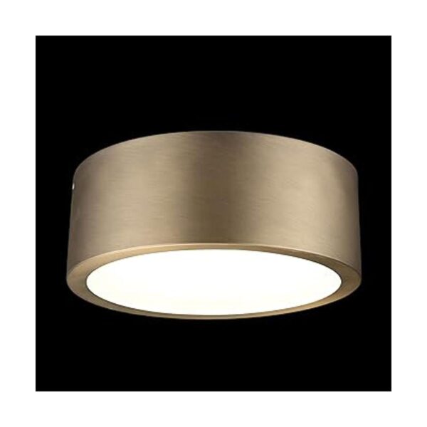 Globe Electric 60979 Lámpara de techo LED integrada de