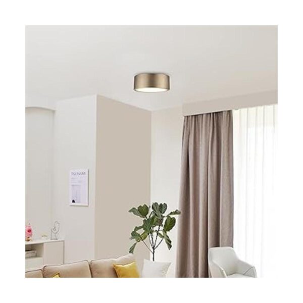 Globe Electric 60979 Lámpara de techo LED integrada de