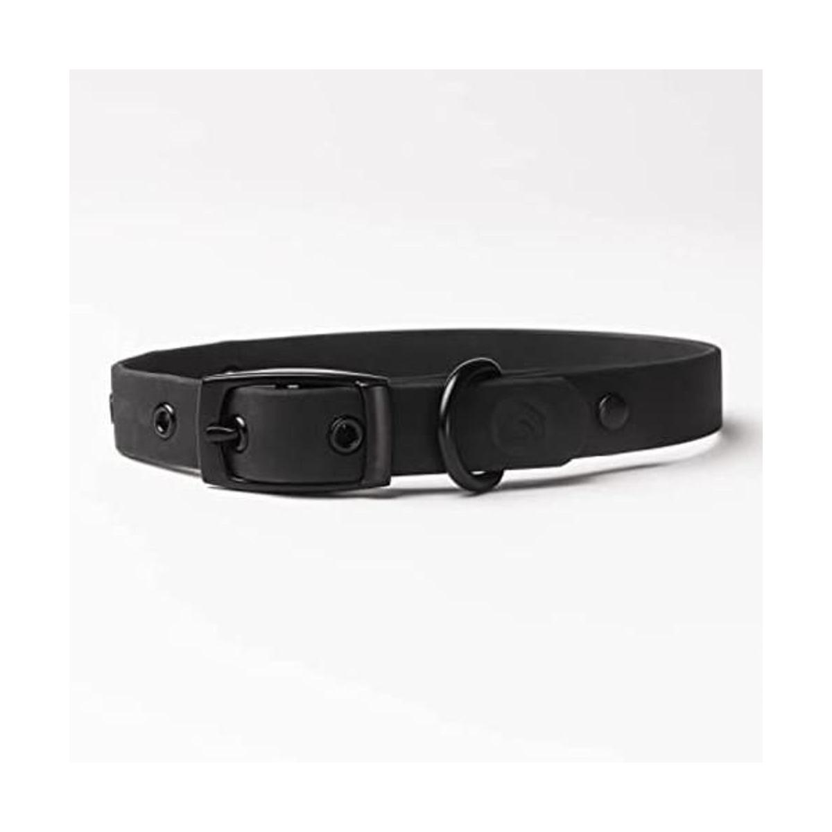 Diggs Collar de hebilla ajustable para perros cómodo