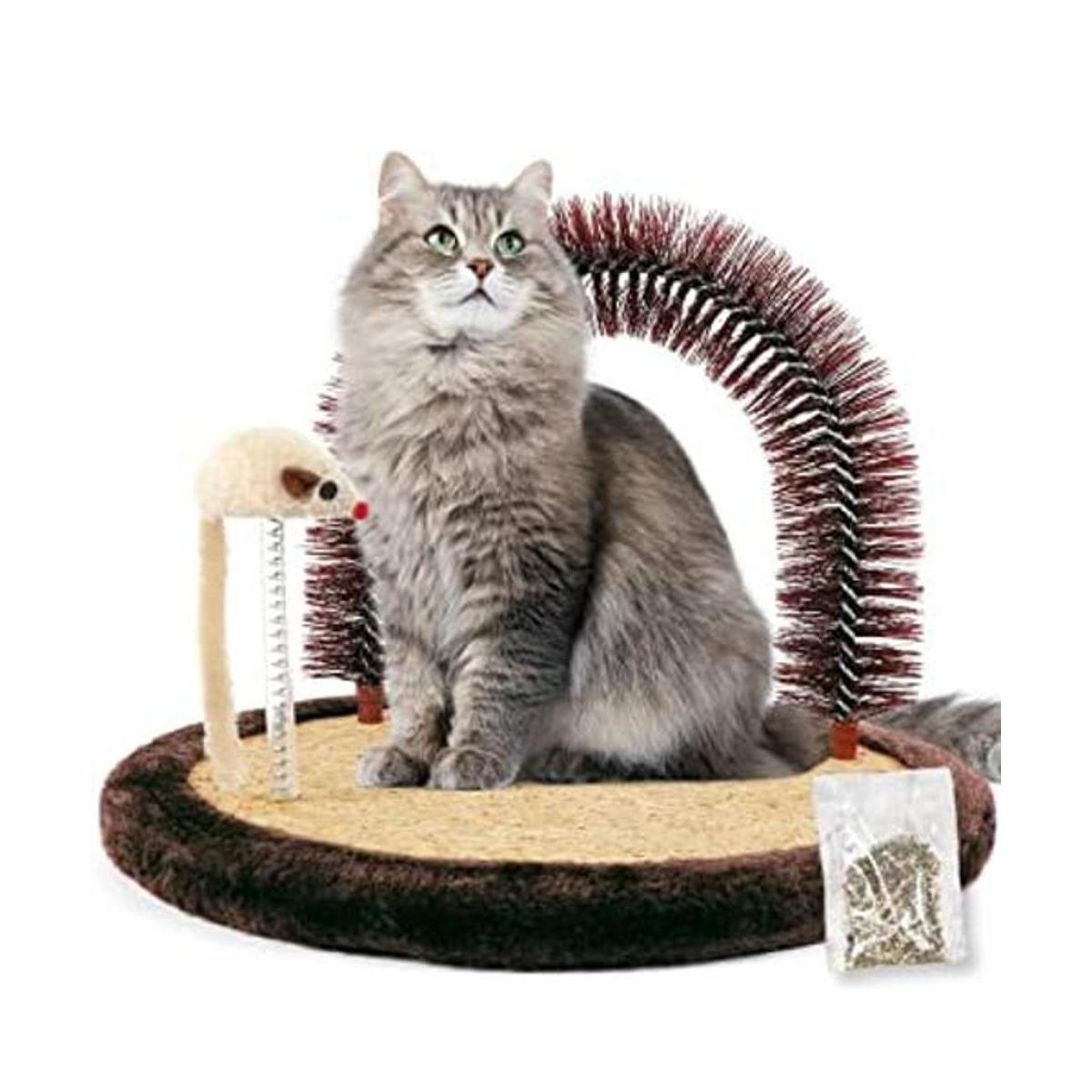 Happi N Pets The Original Cat Arch Masajeador para gatos
