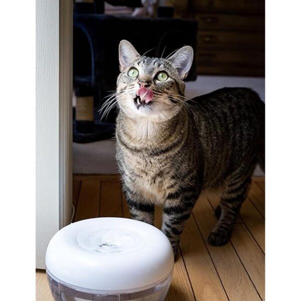 IntelliLeash PURRoducts Purrfect Fuente de agua para_5
