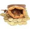 50 monedas de oro y bolsa de piel sintética monedas de_5