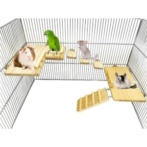 CAREUPET Tabla de salto de madera para hámster de ardilla_1