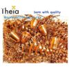 Theia Plasma Accesorios consumibles de corte de plasma_3