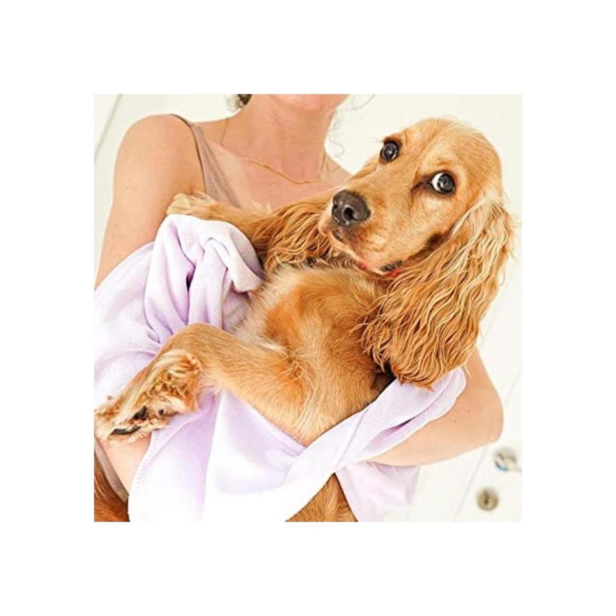 Incondicional Love Toalla premium para mascotas Toalla