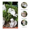 Toyvian Juego de 5 estacas decorativas de resina en