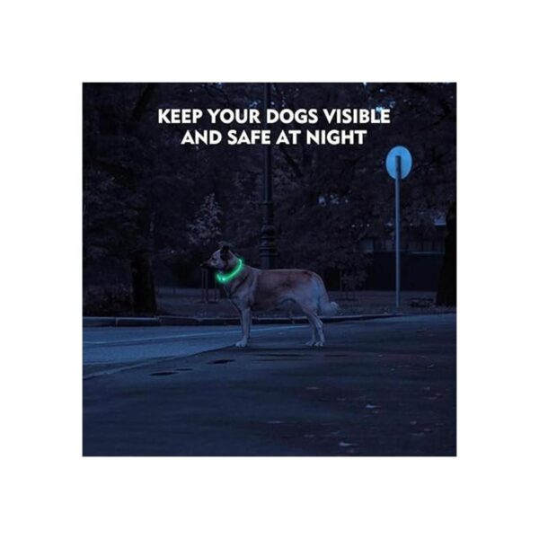 NOVKIN Collar LED para perro collares de perro con luz_3