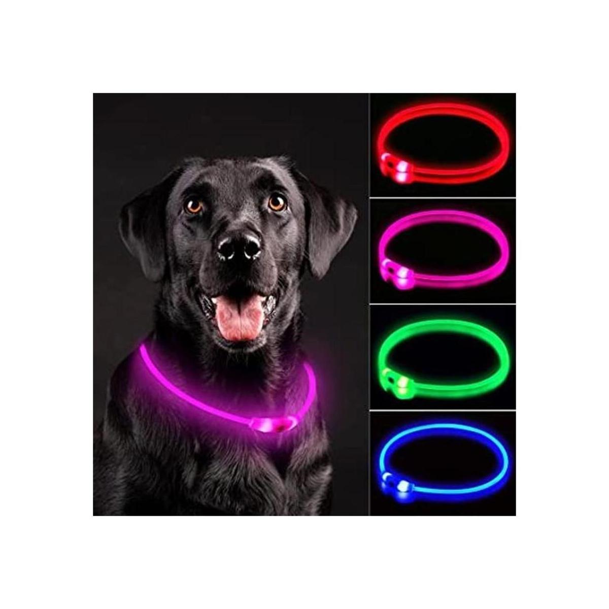 NOVKIN Collar LED para perro collares de perro con luz