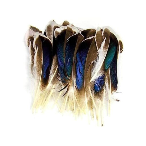 50 plumas naturales para manualidades de 10 a 5.9 in para_1