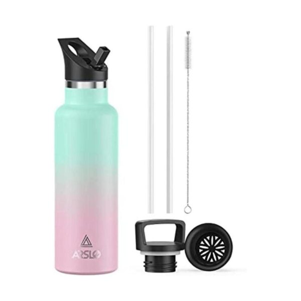 Arslo Botellas de agua de acero inoxidable aisladas_1