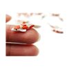 Lote de 12 miniaturas de peces Koi de hadas de jardín