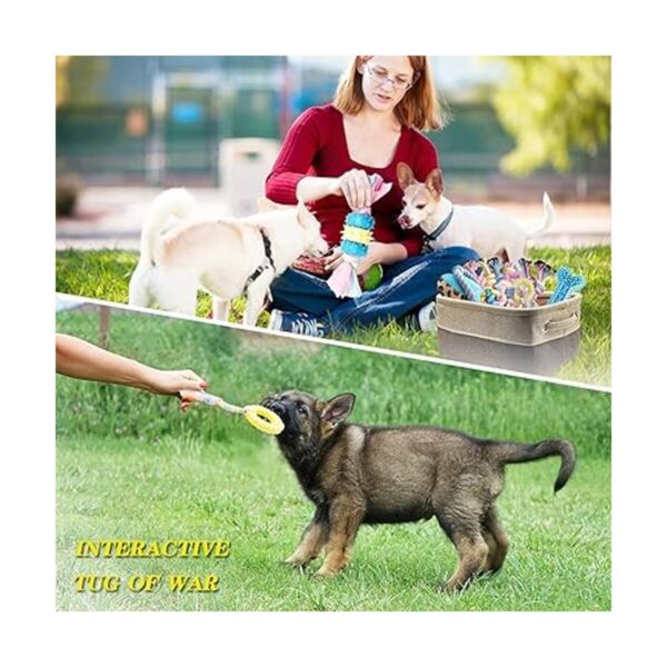 Puppy Toys Interactive Dog Toys Dog Chew Toy Puppy