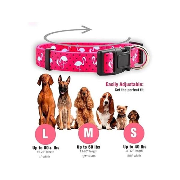 Collares de perro de primavera para cachorros nativos_2