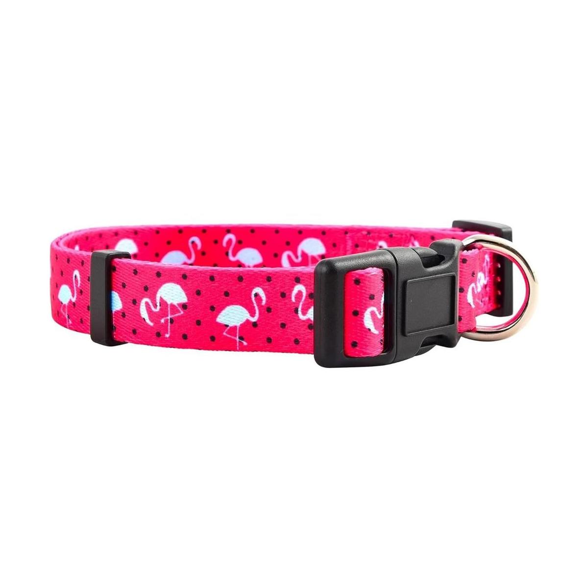 Collares de perro de primavera para cachorros nativos