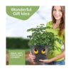 Kings Gardening Clever Pot Maceta autoriego para uso en_6