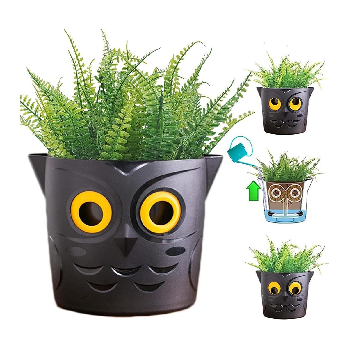 Kings Gardening Clever Pot Maceta autoriego para uso en