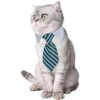 4 piezas de disfraz para mascotas y perros gatos_2