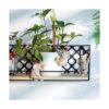 HomDSim Garden Statues Maceta para jardinería árbol de