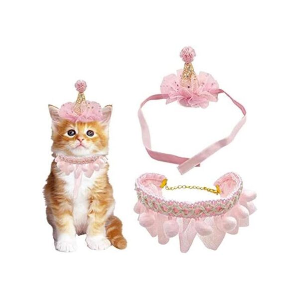 Juego de bufanda de sombrero de cumpleaños para mascotas_1