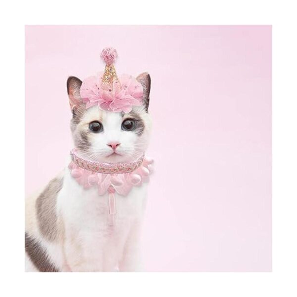 Juego de bufanda de sombrero de cumpleaños para mascotas_2