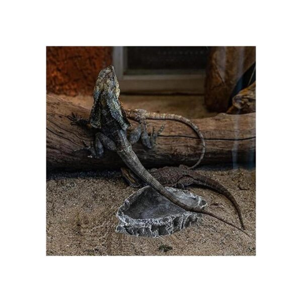 HAKCHERT Cuenco de agua para reptiles. Cuenco de esquina