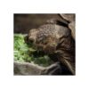 HAKCHERT Cuenco de agua para reptiles. Cuenco de esquina