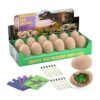 Kit de excavación de huevos de dinosaurio Juguetes de_1