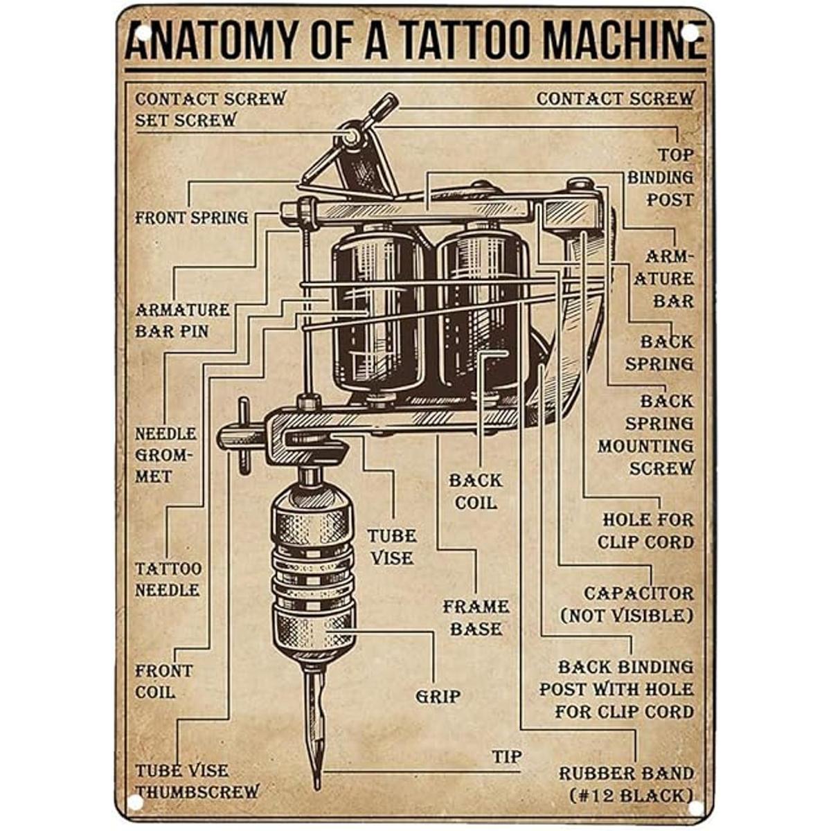 Cartel de impresión de arte vintage con diseño de Anatomía