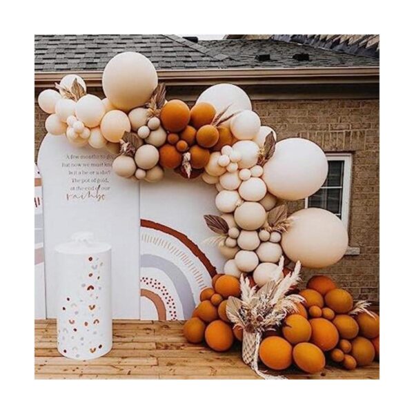 Kit de arco de guirnalda de globos de doble relleno_1