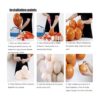 Kit de arco de guirnalda de globos de doble relleno_5