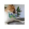 Huxley Kent Pajarita para mascotas madras de lima