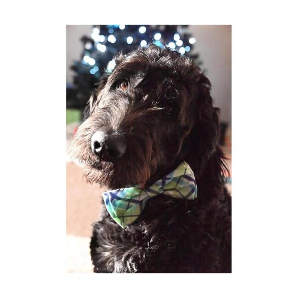 Huxley Kent Pajarita para mascotas madras de lima