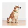Collar de perro Hulk con diseño de Marvel Comics The Hulk