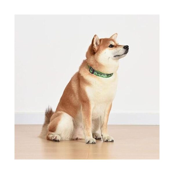 Collar de perro Hulk con diseño de Marvel Comics The Hulk