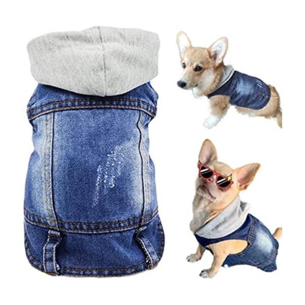 Ropa para mascotas chaqueta de mezclilla azul fresco con