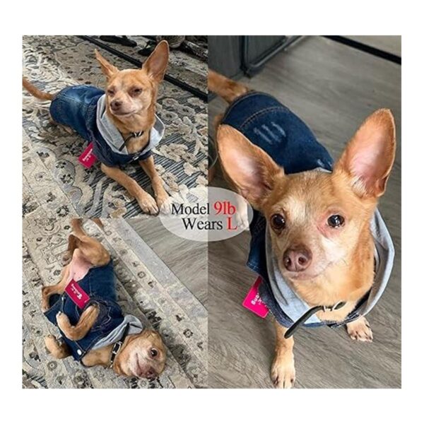 Ropa para mascotas chaqueta de mezclilla azul fresco con