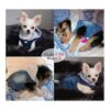 Ropa para mascotas chaqueta de mezclilla azul fresco con