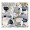 Ropa para mascotas chaqueta de mezclilla azul fresco con