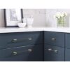 Amerock Tirador de gabinete Oro cepilladonegro mate_4