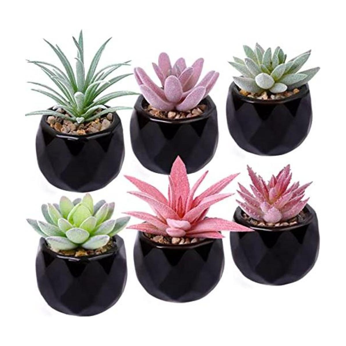 Hawesome Mini suculentas artificiales 6 paquetes de