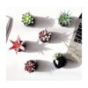 Hawesome Mini suculentas artificiales 6 paquetes de